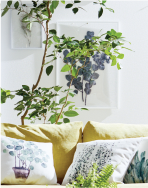 BOTANICAL ボタニカル イメージ