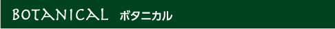 BOTANICAL ボタニカル
