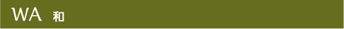 WA 和